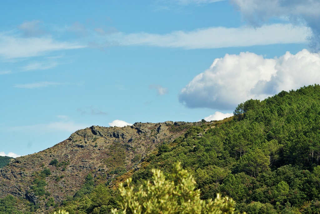 La garrigue coté ouest