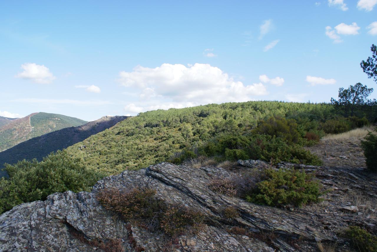 la nature à l'état sauvage