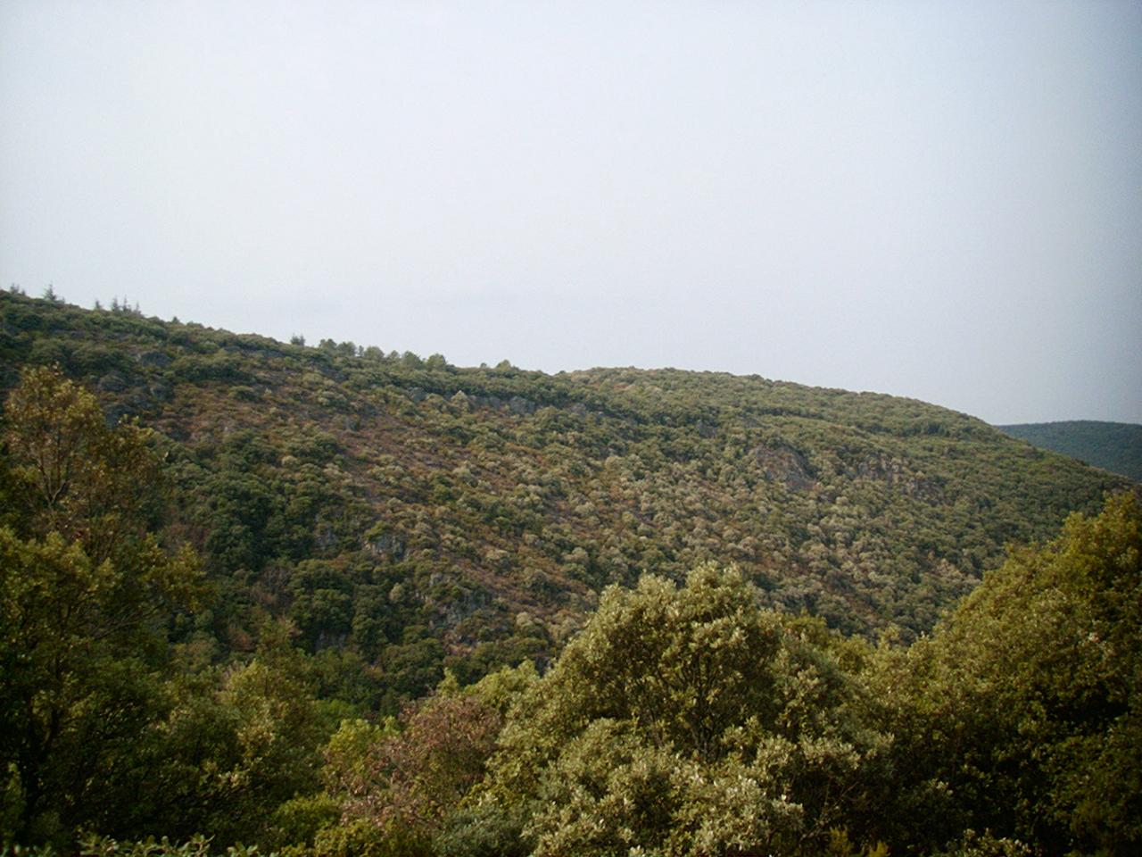 la garrigue