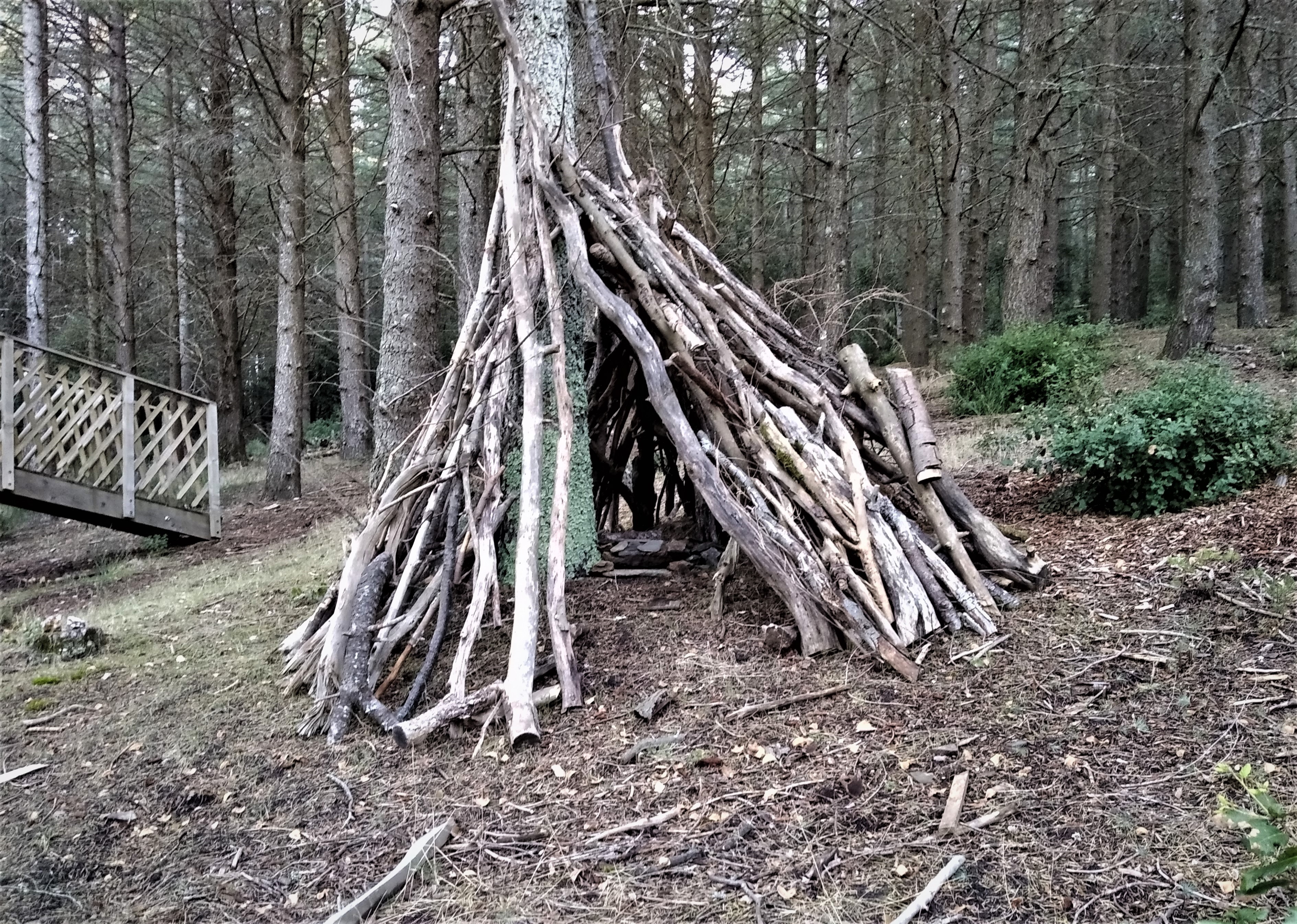 Mini cabane des enfants