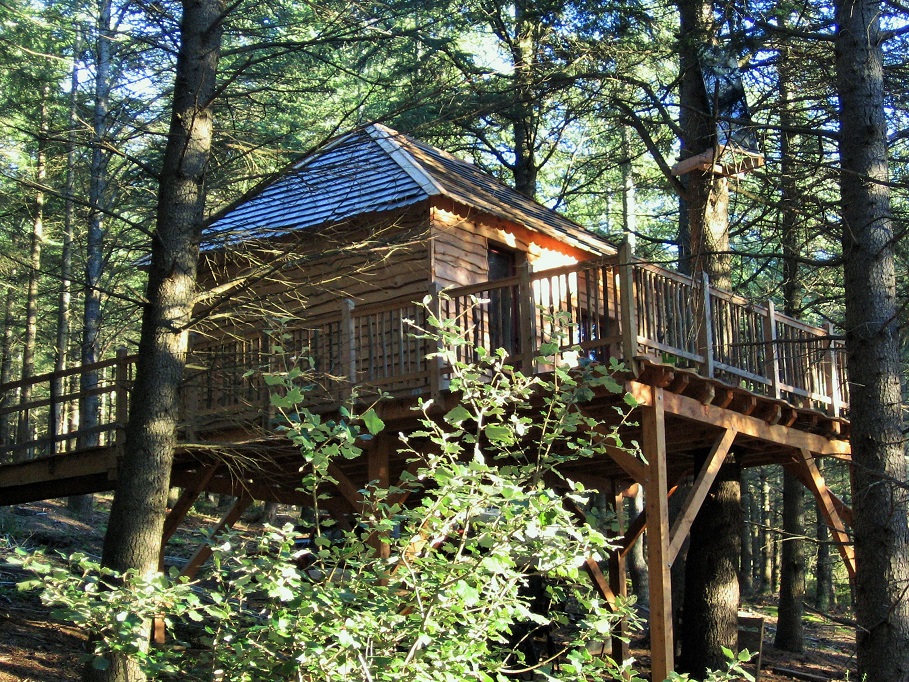 Cabane écureuil