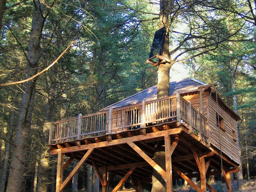 Extérieur cabane écureuil