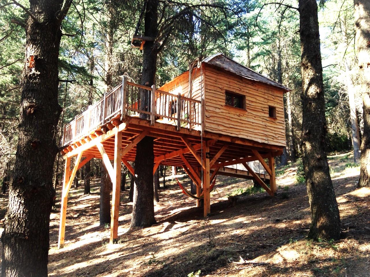 Cabane perchée, écureuil