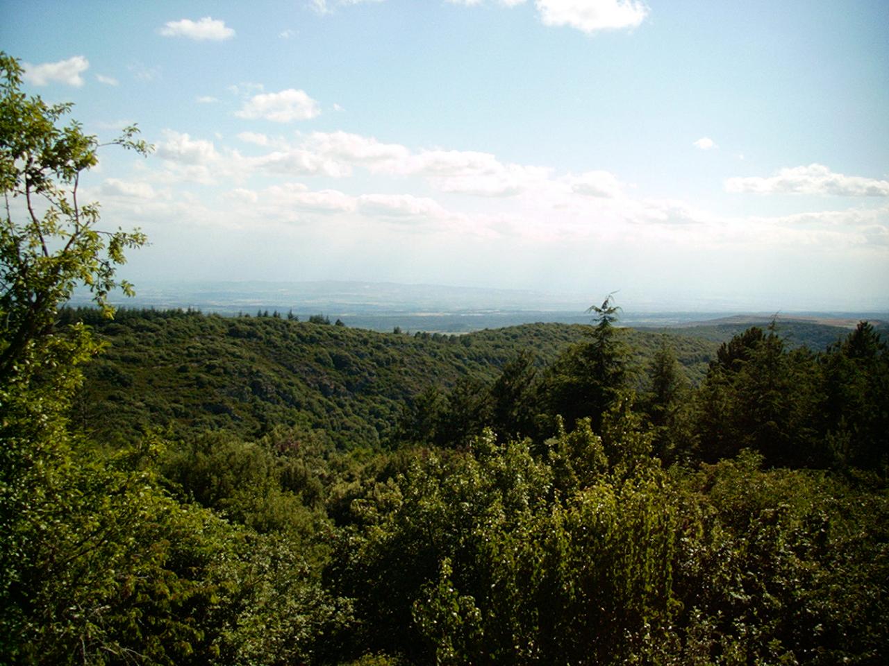 garrigue